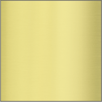 Brushed Gold Insert / Black Text