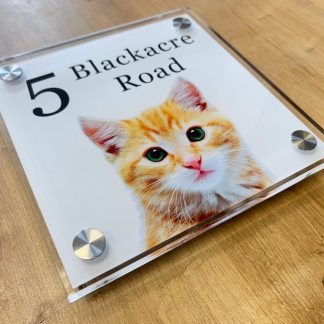 Personalised Pet Photo Signs