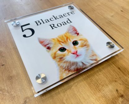 Personalised Pet Photo Signs